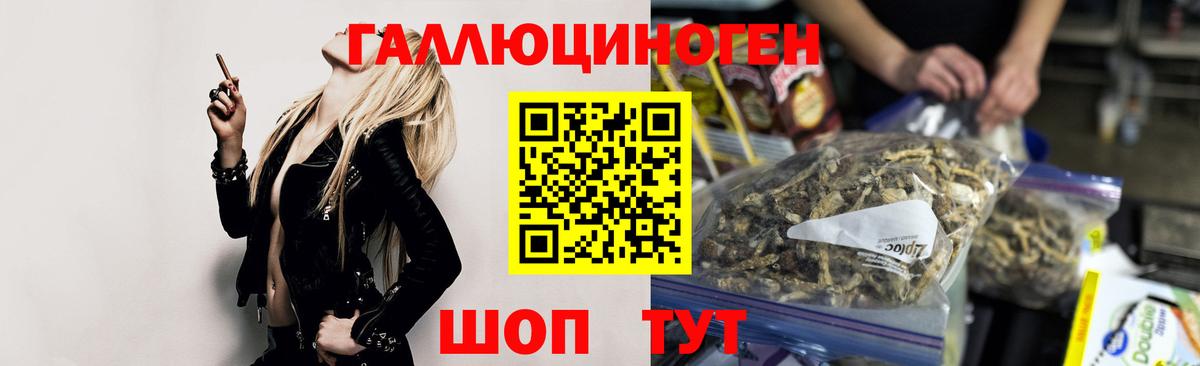 Галлюциногенные грибы Psilocybine cubensis  Вход с VPN  даркнет сайт  Норильск 